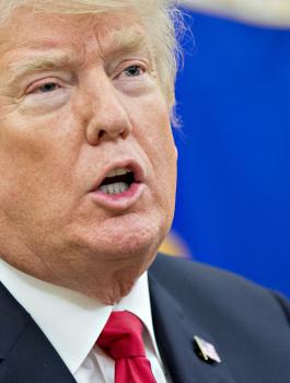 صورة لمزارعة شبيهة لترامب تحصل على تفاعل عال على مواقع التواصل الاجتماعي