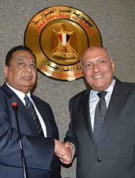 شكري ووزير الخارجية المصري 