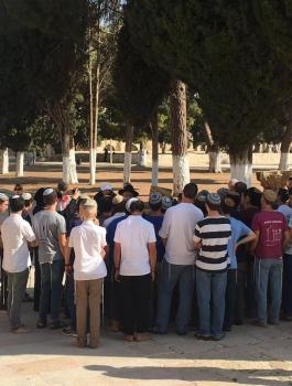 اقتحام المستوطنين للمسجد الأقصى المبارك 