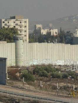 عمل نساء في المستوطنات 