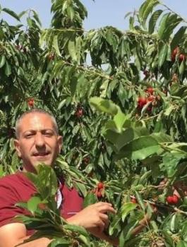 الأسير سامر  العربيد