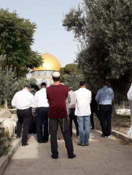 اقتحام الاقصى والقدس 