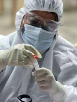 علماء بريطانيون وفيروس كورونا 