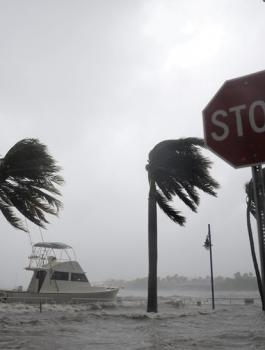 الامارات تتبرع لمتضرري اعصار ايرما 