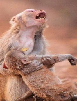 900x450_uploads,2017,05,11,2661039297