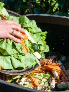 الطعام بالقمامة