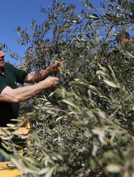 اشتيه وطولكرم 