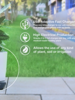 d59567ea-e621-44cb-81d5-68c6eebfbcc5