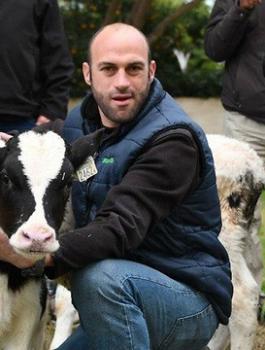 نفتالي بنيت والعجول 