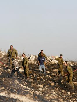 الاستيلاء على اراضي الفلسطينيين في يطا 