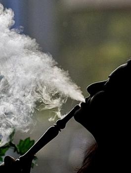 من اكثر ضررا الشيشة ام السجائر 