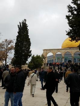 الصلاة في الاقصى 