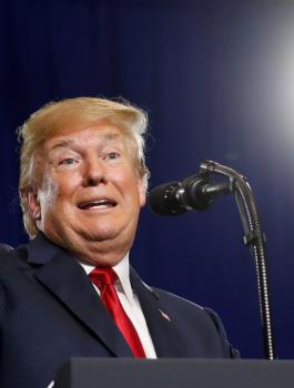 قمة ترامب وبوتين