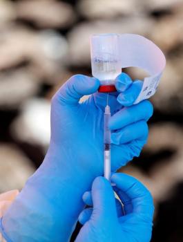 لقاد ضد فيروس كورونا 