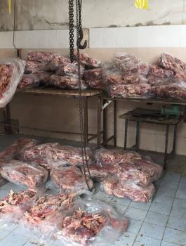 13172999_459599320910847_2499736678282838193_o (1)