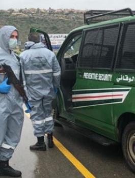 384950162812300786304