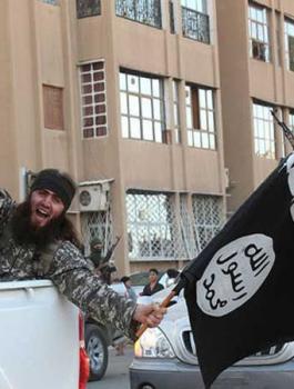 isil41