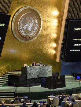 الامم المتحدة وقرارات لفلسطين 