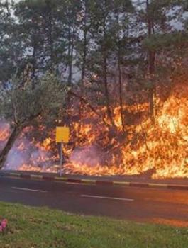 مصر والادرن تشاركان في اطفاء حرائق اسرائيل