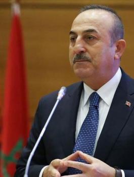 تركيا وفلسطين 