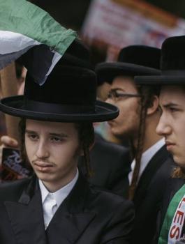 وفد يهودي واسرائيل والخليل 