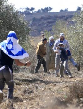 المستوطنون وقطف الزيتون 