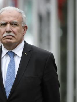 فلسطين وحل الدولتين 