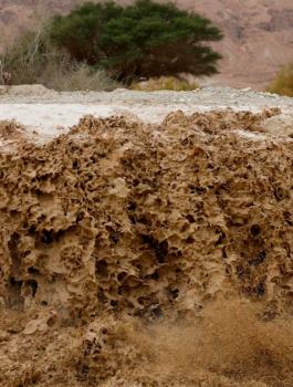 سيول في فلسطين 