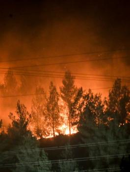مشاركة الاردن في اطفاء حرائق اسرائيل