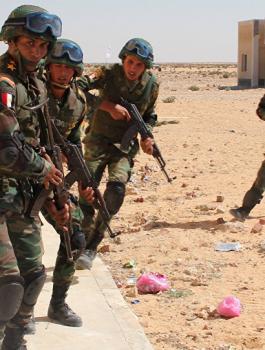 الجيش المصري يدمر سيارات محملة بالأسلحة عبر الحدود الغربية