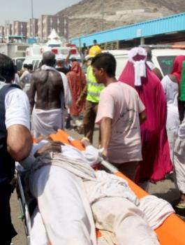 nic6489308