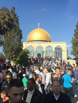 12314229_512329645594946_1007522061046038784_o