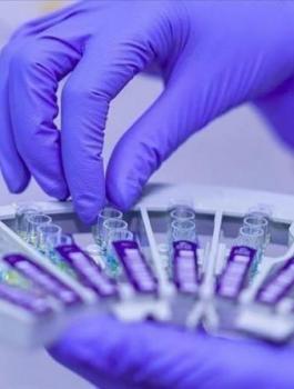 03090812701691633723213102474058