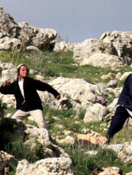 القوى تدعو لتشكيل لجان الحراسة لمواجهة اعتداءات المستوطنين