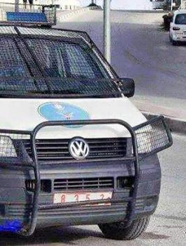 دليل شكاوي الاطفال الفلسطينيين 