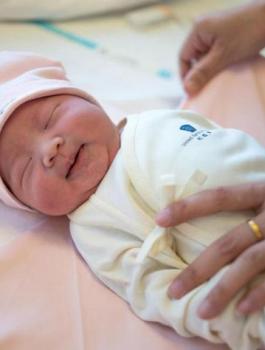 انخفاض حجم الاسرة الفلسطينية 