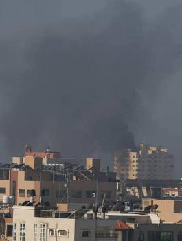 الشهداء في غزة 