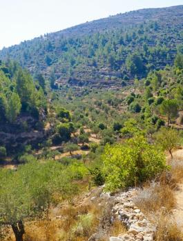 منخفض قطبي يضرب المغرب العربي والاستقرار يخيم على المنطقة