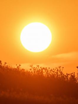 حالة الطقس في فلسطين 