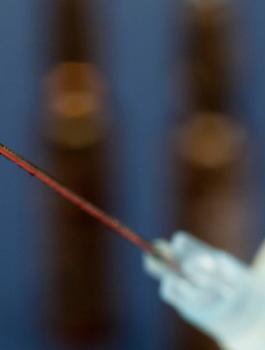 الممرض السفاح في الماتيا 