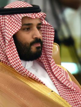 وزير الدفاع السعودي 