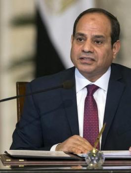 السيسي ووفد يهودي امريكي 