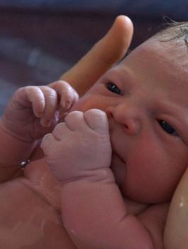 الولادة في الماء