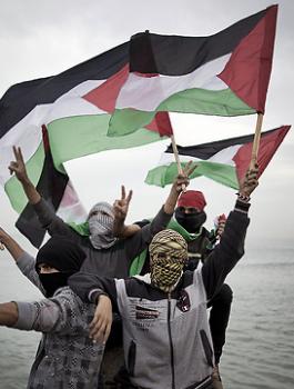 عدد سكان فلسطين 