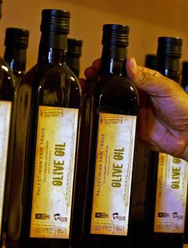 مسابقة لأفضل زيت زيتون في فلسطين 