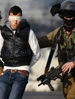 الاحتلال يعتقل 520 فلسطينيا خلال الشهر الماضي 