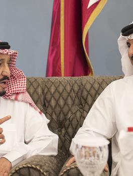 تحويل قطر الى جزيرة 