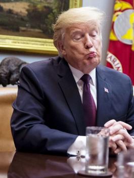 ترامب وفنزويلا 