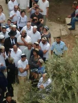 المستوطنون يقتحمون المسجد الأقصى 