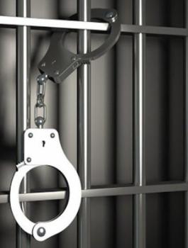 D0B83369-7906-472B-9689-77A4447E5917